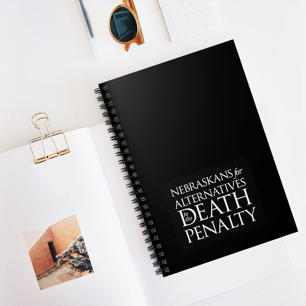 Thumbnail: NADP logo - Spiral Notebook
