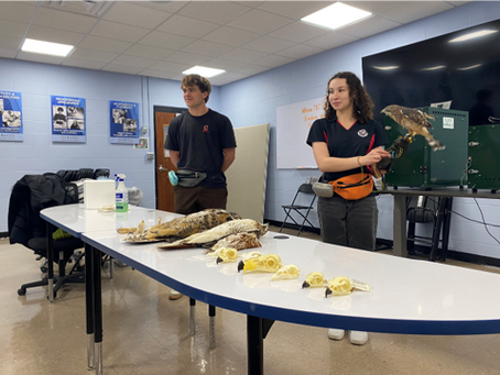End-of-semester reflection on A Birdsong Program
