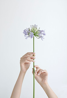 Purple Flower_edited.jpg