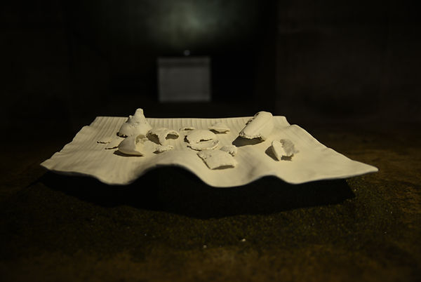 DSC_0110.JPG