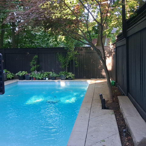Solid stained fence in Black Beauty by Benjamin Moore