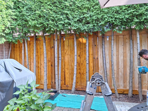 Ready Seal semi-transparent stain was applied to  this fence to give it a more vibrant look and protect it - Woodbridge, Vaughan