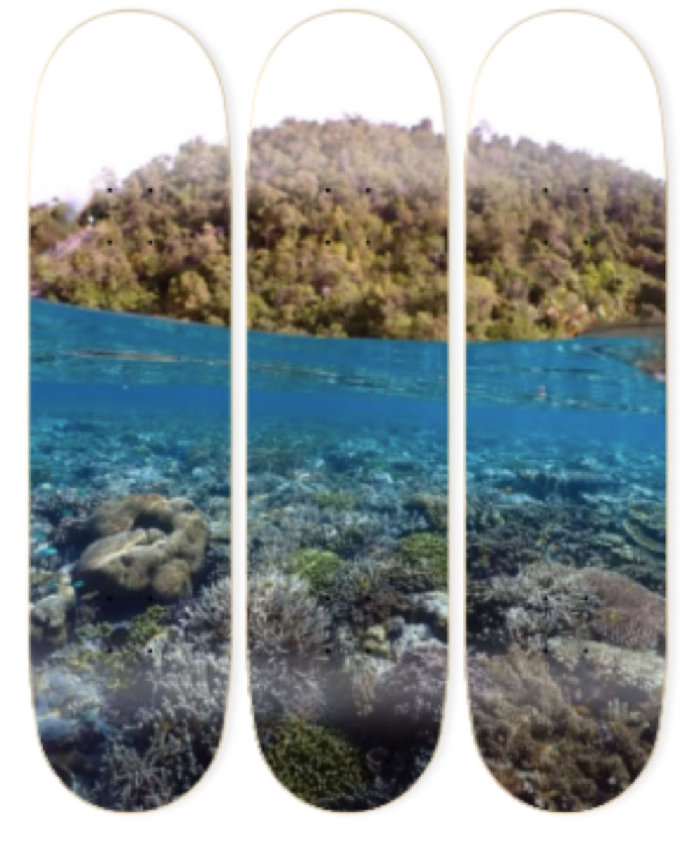 Triptyque board verticale MALDIVES, vibrant underwater life and coastal landscape F T W Art Board.