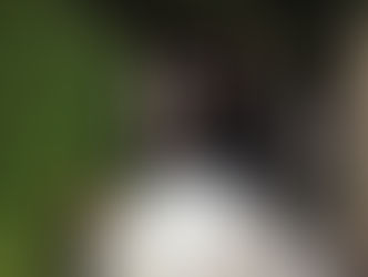 やっとの再会。