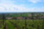 Paysage Rott