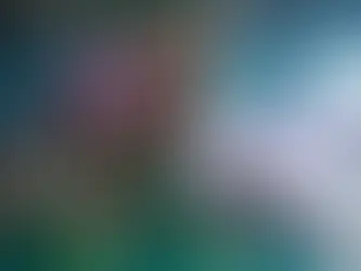 Box Office February 20-23, 2026