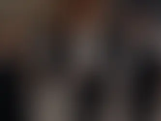 Box Office / Nov.14 - 16, 2025