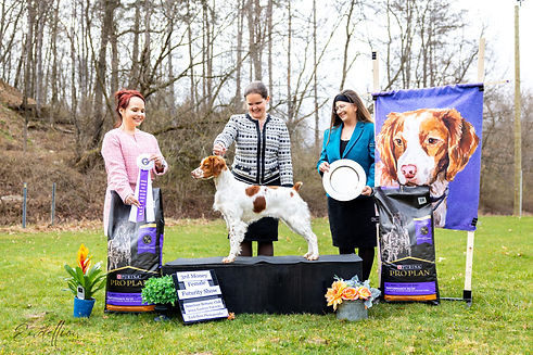 E.Futurity 2024 3rdMoneyFemale Lainey.jpg