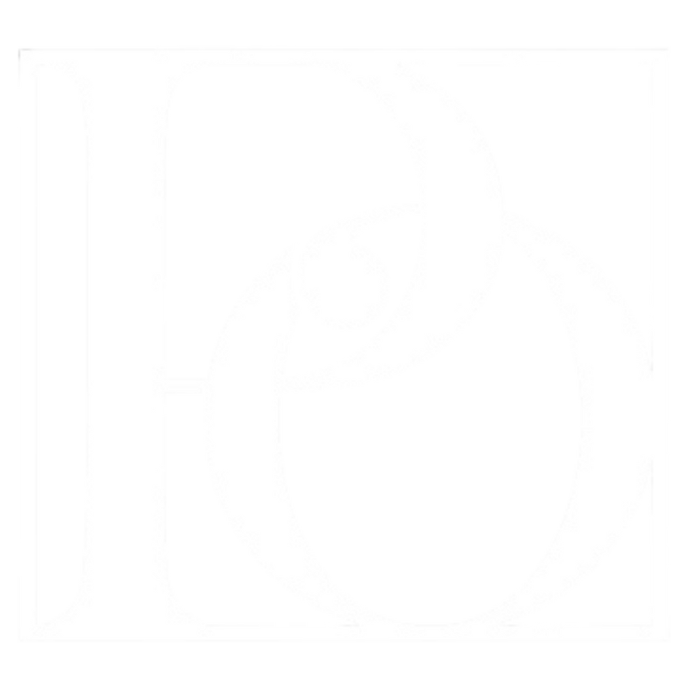 Project Optical Logo