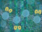 Yaluk-Burron-Artwork-web.jpg