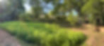 Banner Bacground.jpeg