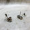 Thumbnail: Silver twist stud earrings