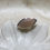 Thumbnail: Brown moonstone silver ring