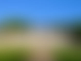 Un grand merci à Messieurs Bazin-de-Caix