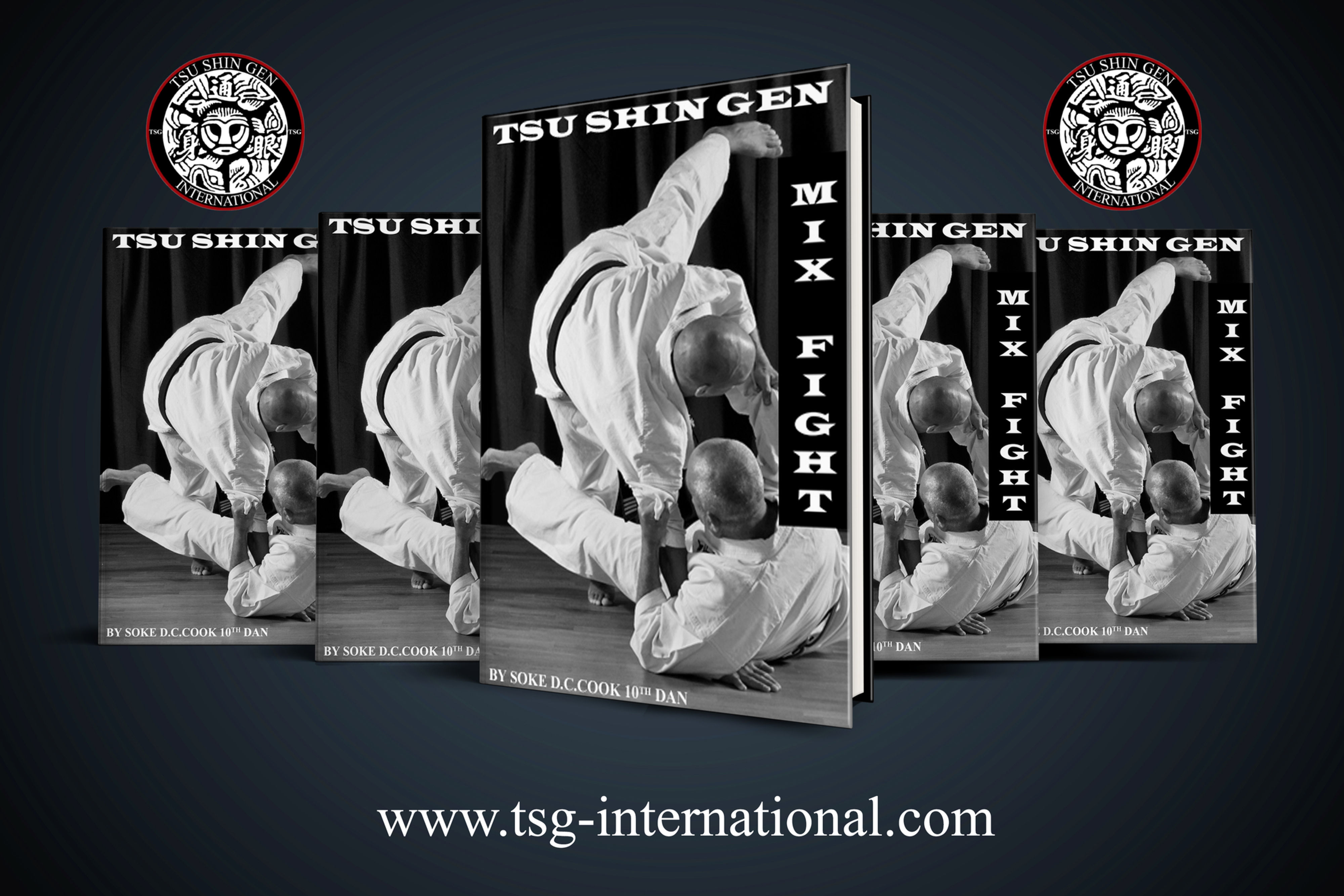 TSG JAPANESE MIX FIGHT