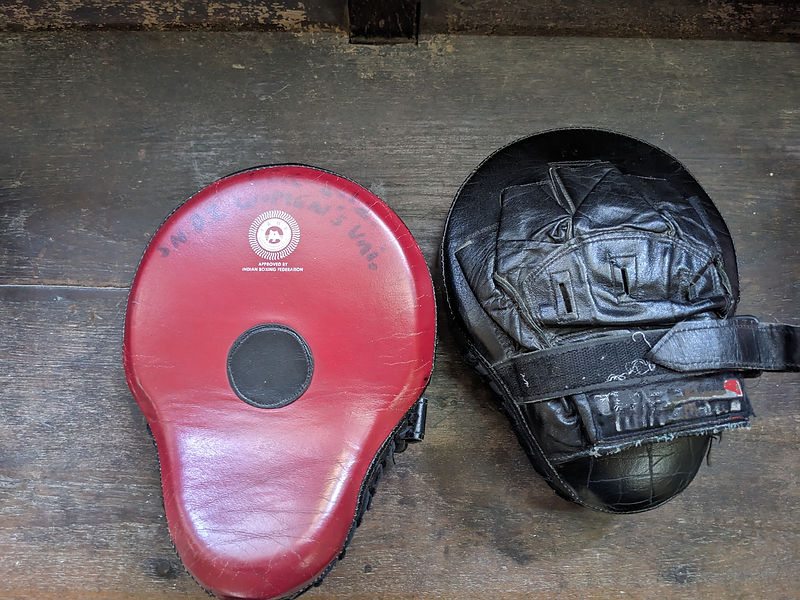 Boxing Pads