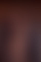 The Assasination 2015 HD