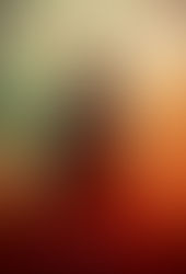 The Assassin 2015 HD