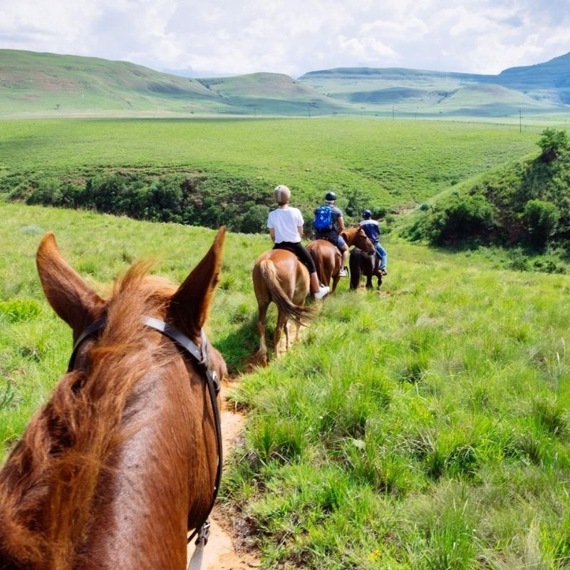 Drakensberg Horse Riding