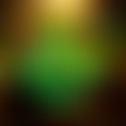 All Nighter Party! (2023)