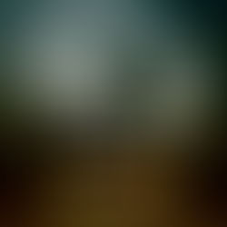 Los Lobos – Lobos en Japon (Live 1988) (2022)