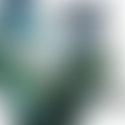 Future Trance - Best of All Time (2023)