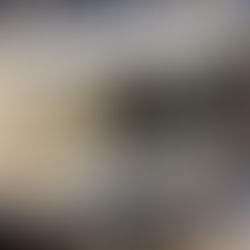 Midnight Oil – Live at the Old Lion, Adelaide 1982 (2022)