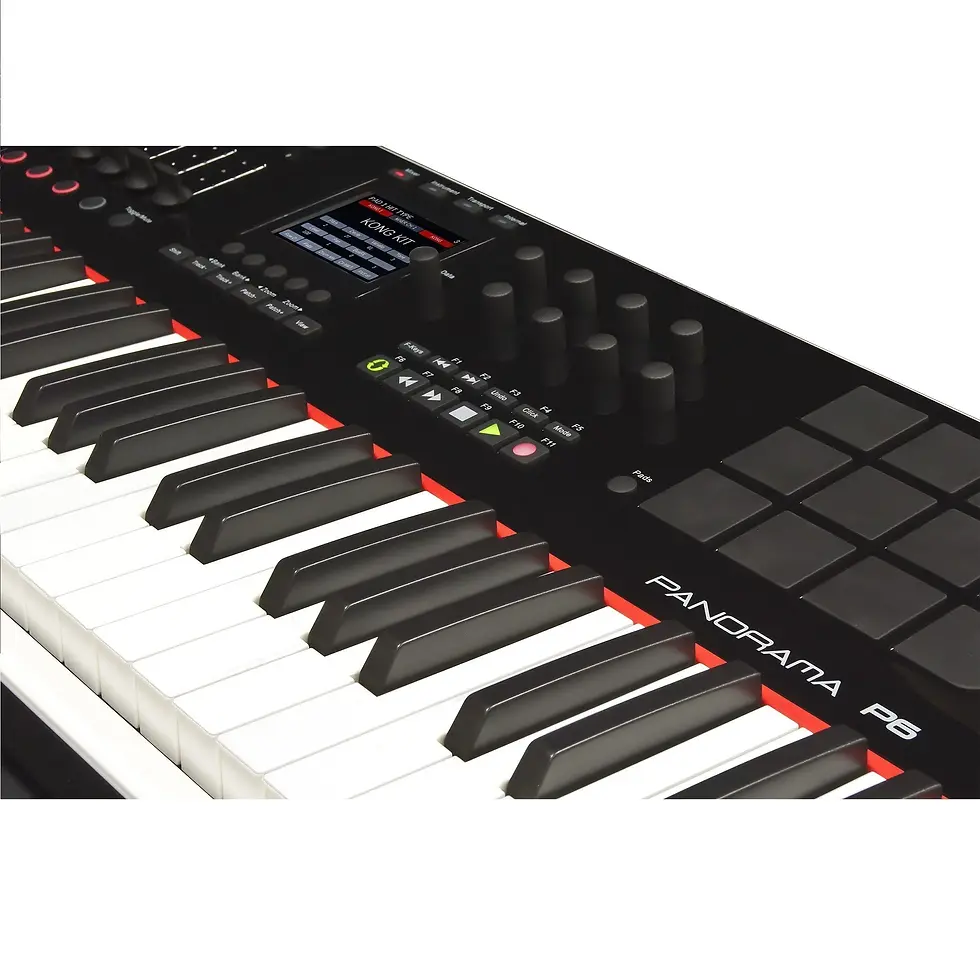 Hình thu nhỏ: Nektar Panorama P6 61-key MIDI Controller