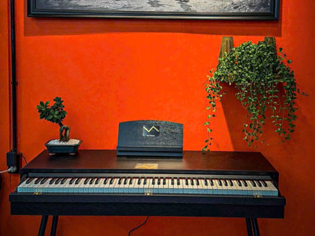 KHÔNG CHỈ LÀ ĐÀN MÀ CÒN CÓ THỂ KHẲNG ĐỊNH ĐƯỢC CHẤT RIÊNG