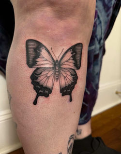 Butterfly Tattoo