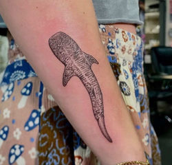 Shark Tattoo