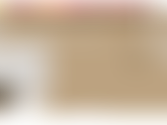 HABITAÇÕES DO AMANHÃ: ESTRUTURAS SEGURAS PARA UMA POPULAÇÃO MAIS IDOSA.