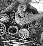 AdobeStock_92068938_Preview_edited.jpg