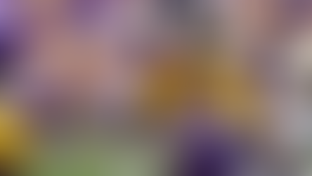 Unleash the Potential: LSU Awaits Young Athletes from Louisiana!