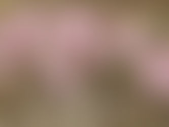 Le parc de la Villa Aimée