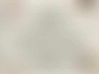 Festa animada de Bia !