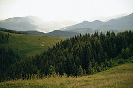 Serenity 1