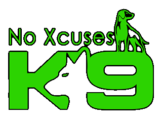 large-png-black-outline-and-shadow-no-xc