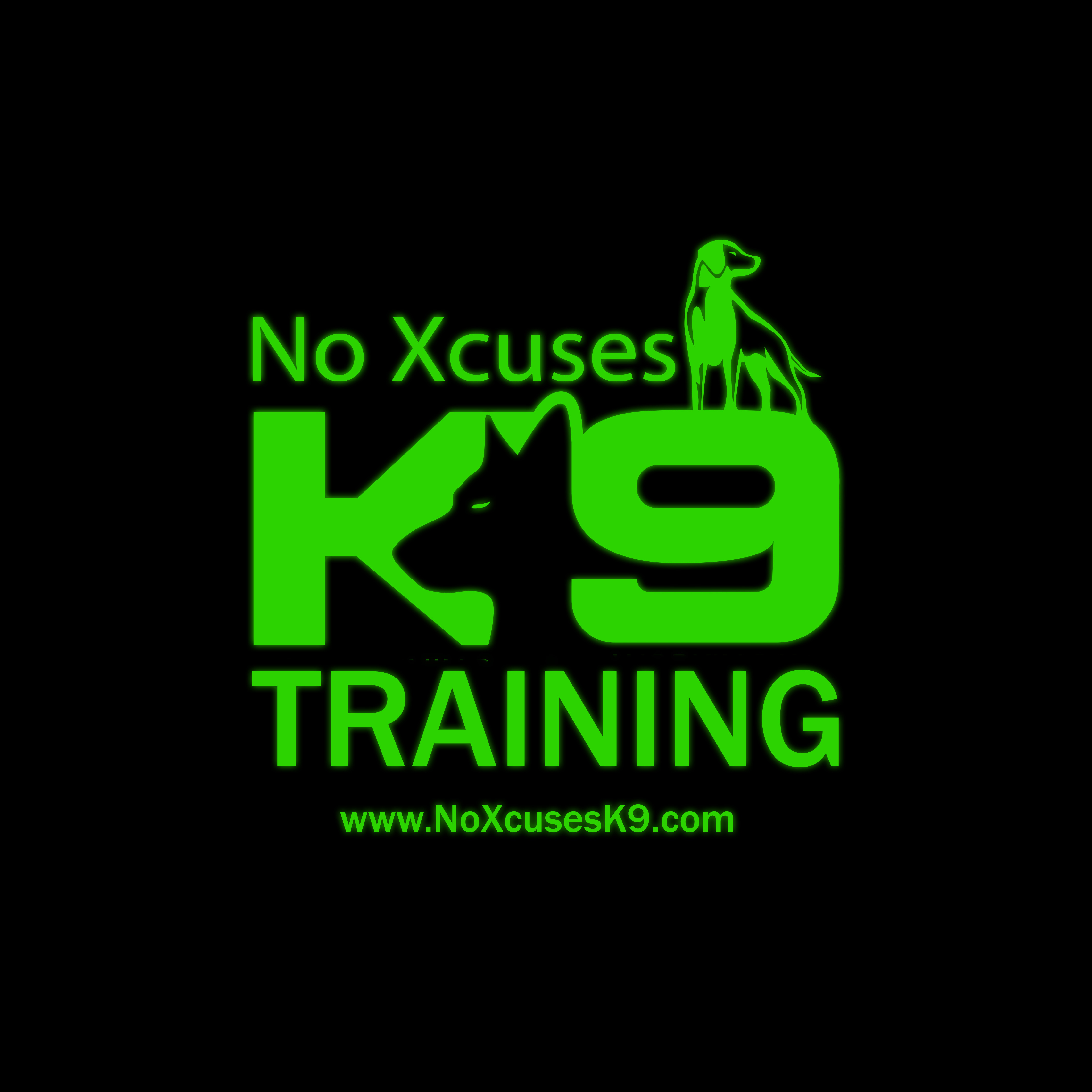 NoX Logo - Trianing FBprofilepic