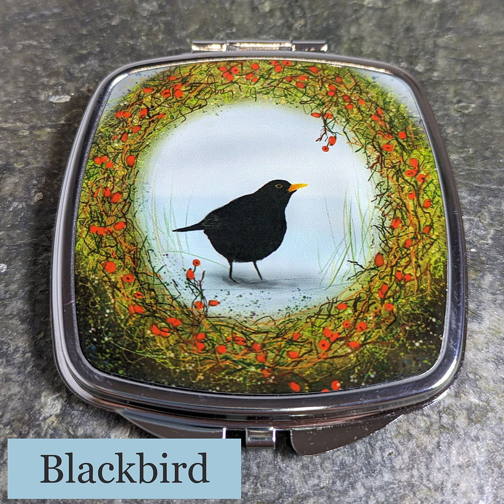 Thumbnail: Silver Compact Mirrors 1