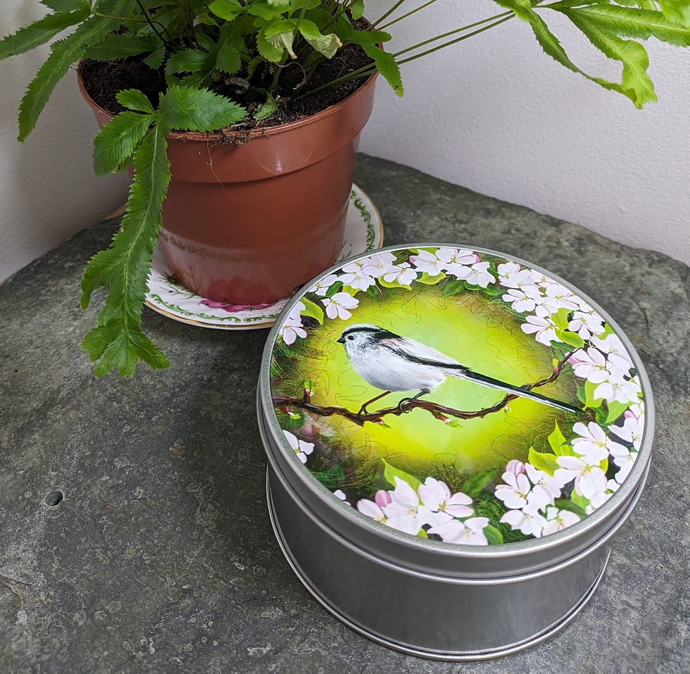 Thumbnail: Round Metal Tins with Lid