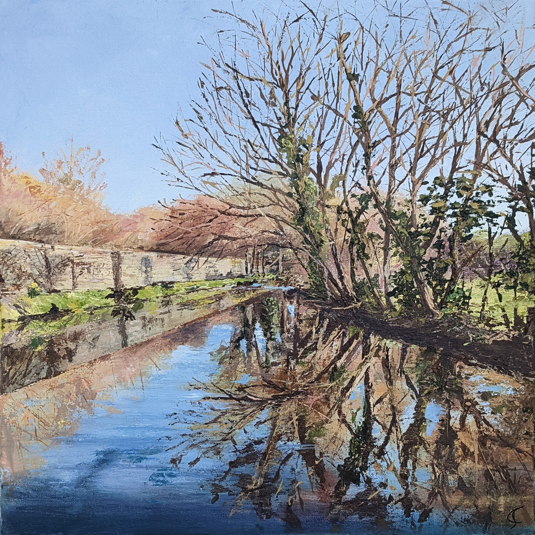 Reflections on the Thrushel