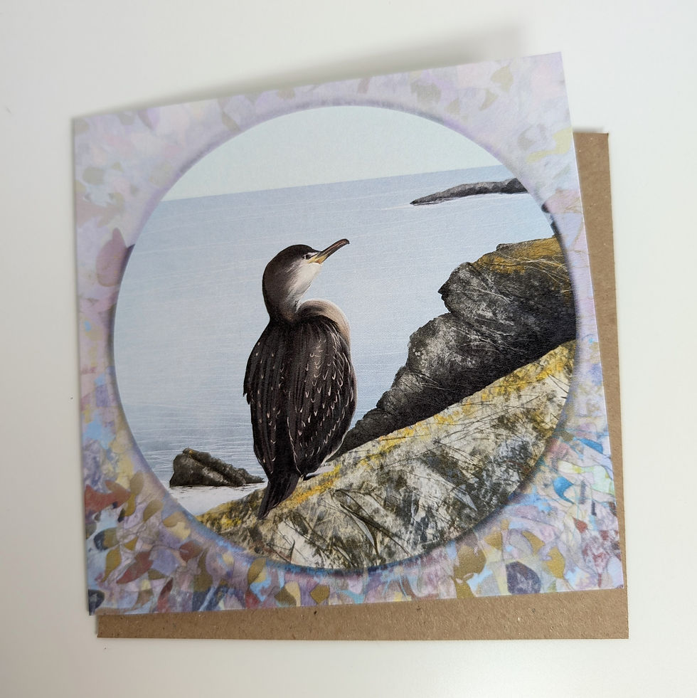 Thumbnail: Set of five Art Cards - Water Bird Collection