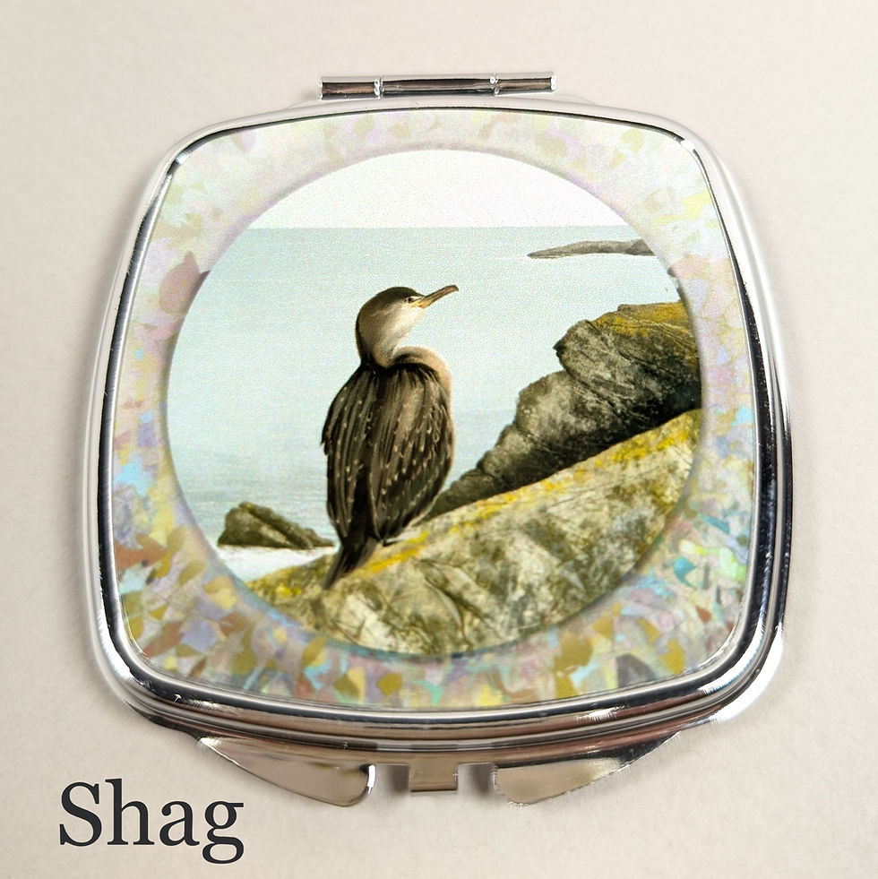 Thumbnail: Silver Compact Mirrors 1