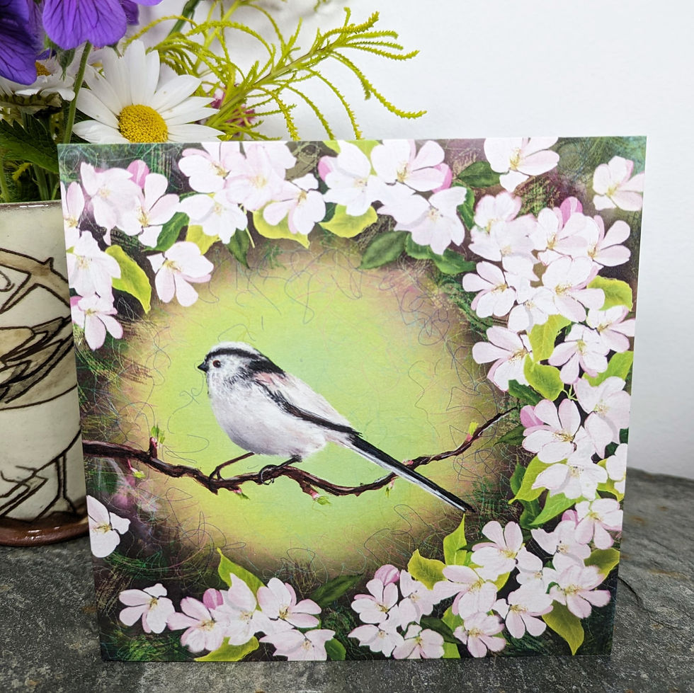Thumbnail: Set of five art cards - Summer Bird Collection