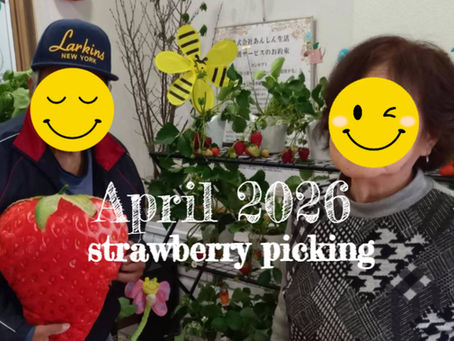 2026春 🍓いちご狩り🍓