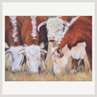 Ladies First | Original Oil Painting of a Hereford Bull with 3 Hereford Cows Grazing by Western Artist Becky Hicks