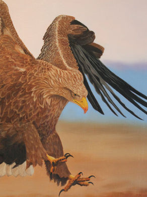 Golden Eagle oil painting 