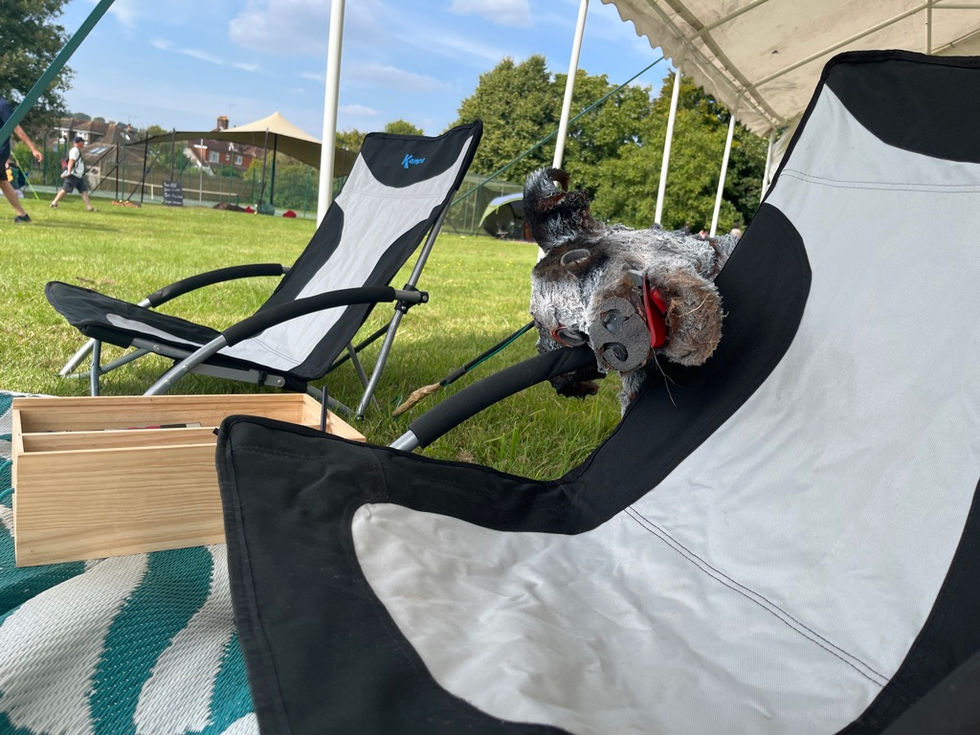 City Arts Portsmouth CIC getting Creative at Compton Music Festival, Making Art Sustainably