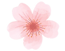 544e8ae1-5bb0-4a8f-8357-7d46dfe433f4 (1).png